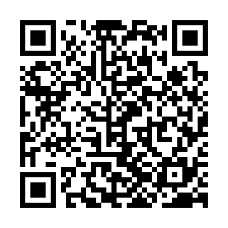 QR code for SJG335