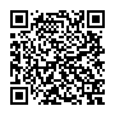 QR code for SJK533