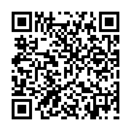 QR code for SJT366