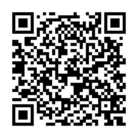 QR code for SKG529
