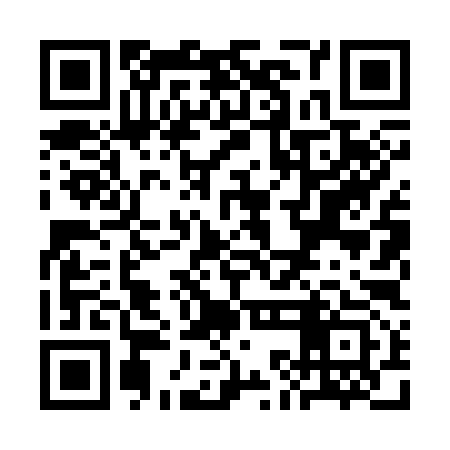 QR code for SKL393