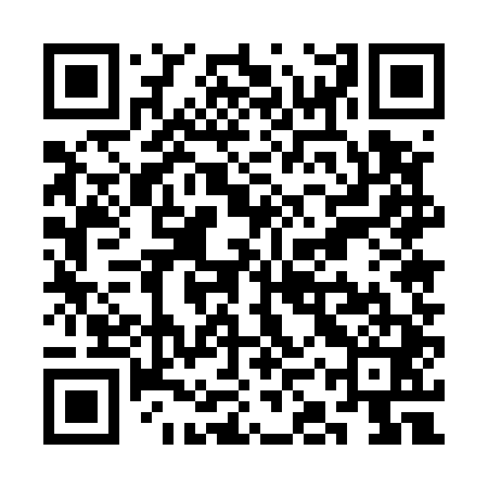 QR code for SKU541