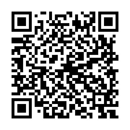QR code for SLP993
