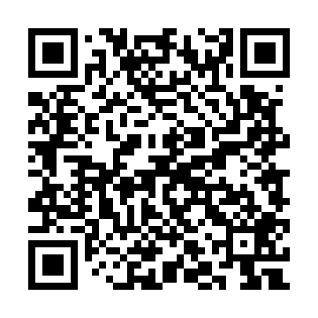 QR code for SLT509