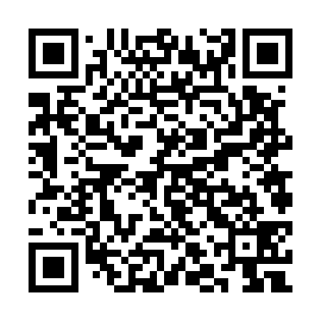 QR code for SLV539