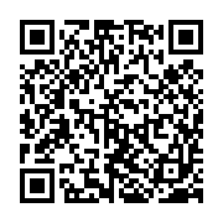 QR code for SLY493