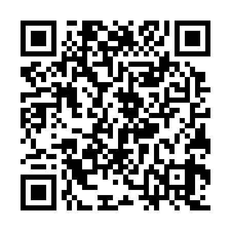 QR code for SNG339