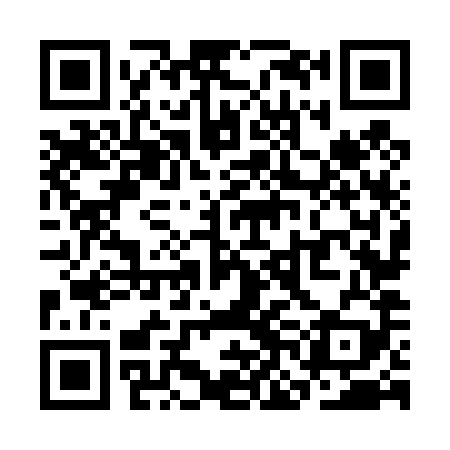 QR code for SNN489