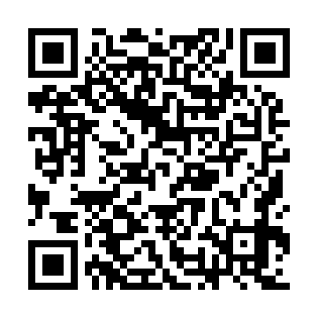 QR code for SOI979
