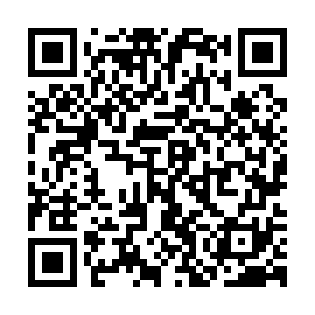 QR code for SON171