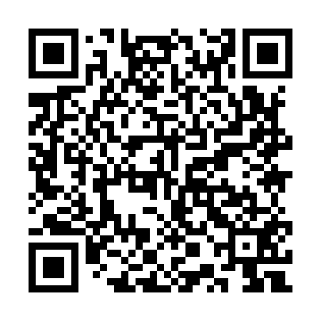 QR code for SPI951