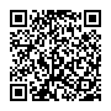 QR code for SPJ028