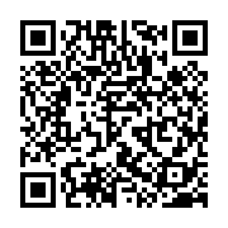 QR code for SPY038