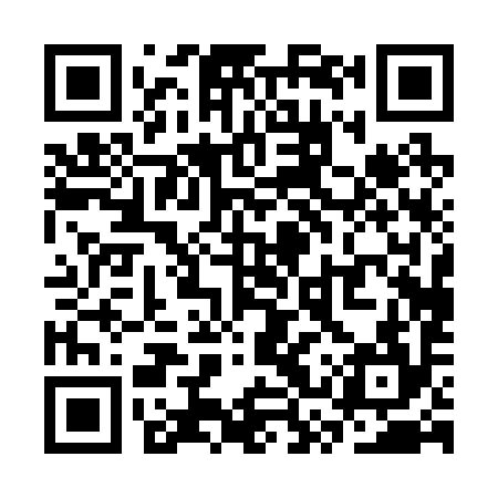 QR code for SSP294