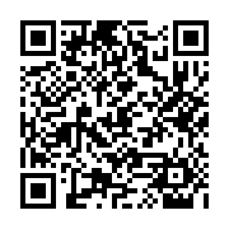 QR code for STZ384