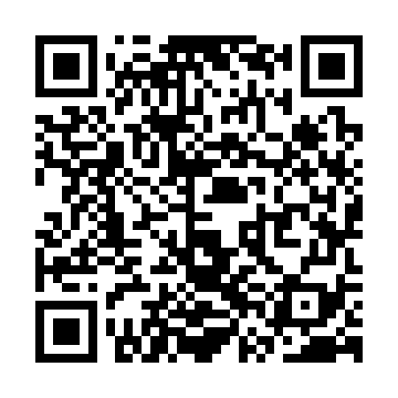 QR code for SVK379