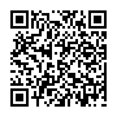 QR code for SWF221