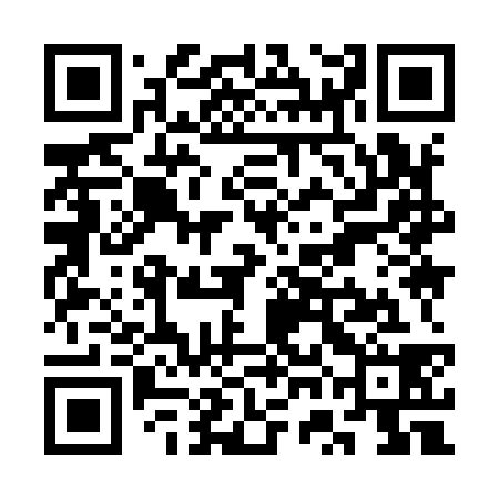 QR code for SWI938