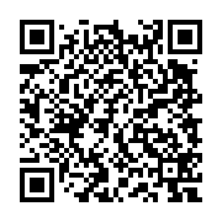 QR code for SWT419