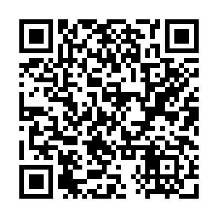 QR code for SXX383