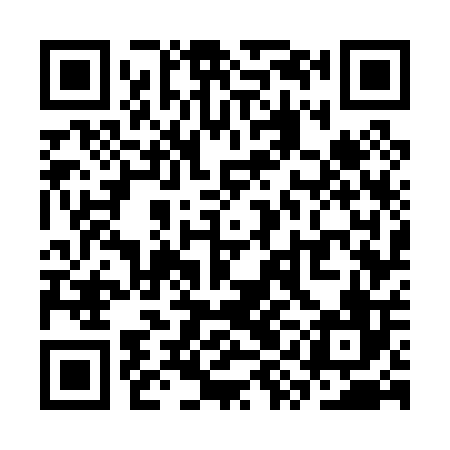 QR code for SYG006