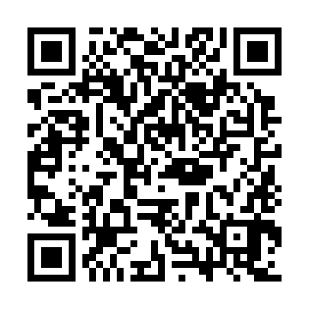 QR code for SYN382
