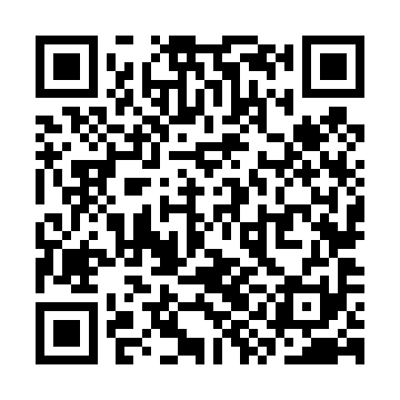 QR code for SYN491