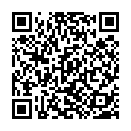 QR code for SYO539