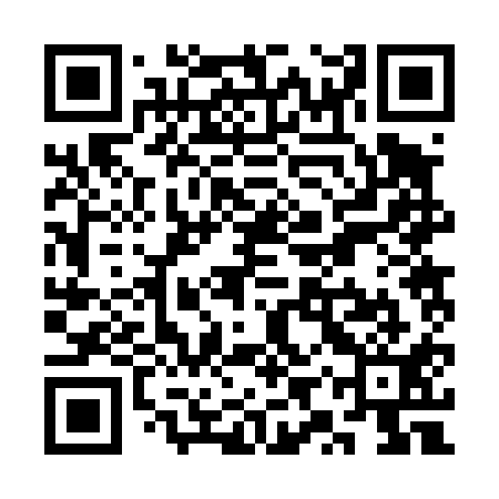 QR code for SYR411