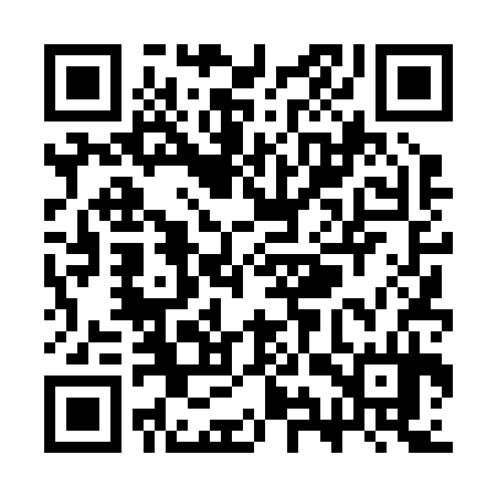 QR code for SYT234