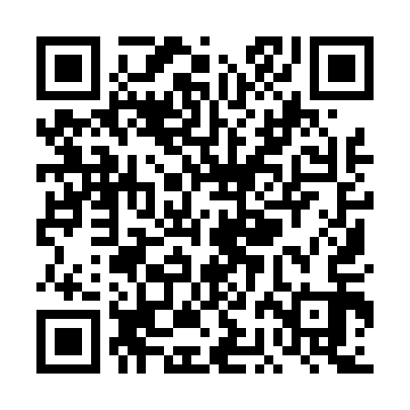 QR code for TBI413