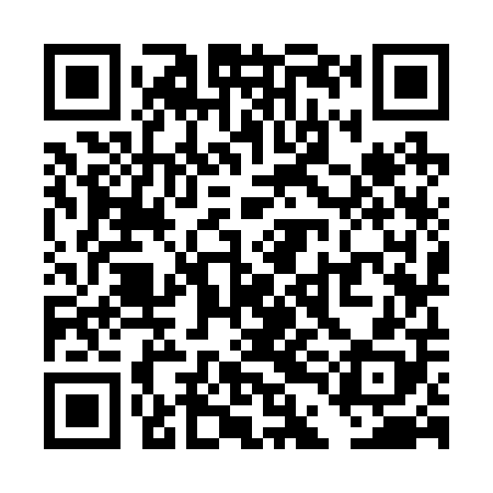 QR code for TDK208