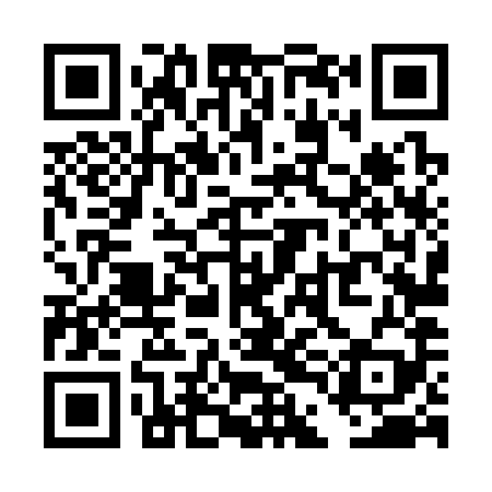 QR code for TDL389