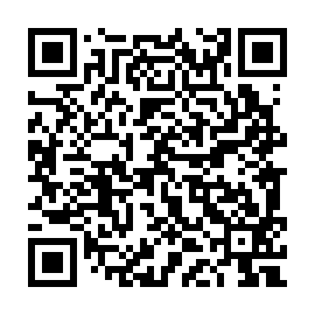 QR code for TDL393