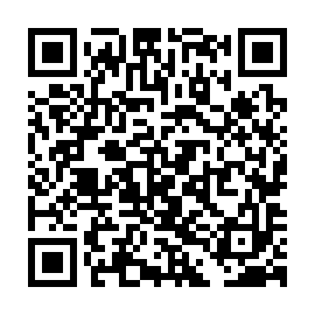 QR code for TDN393