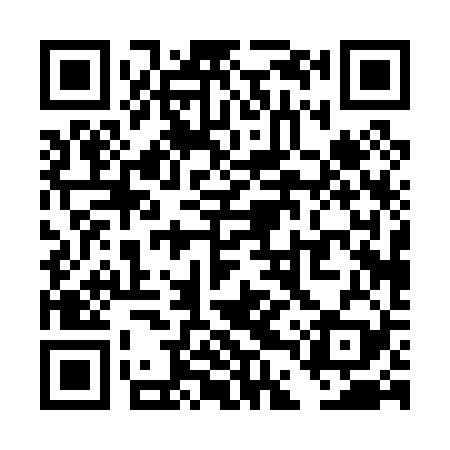 QR code for TDP029