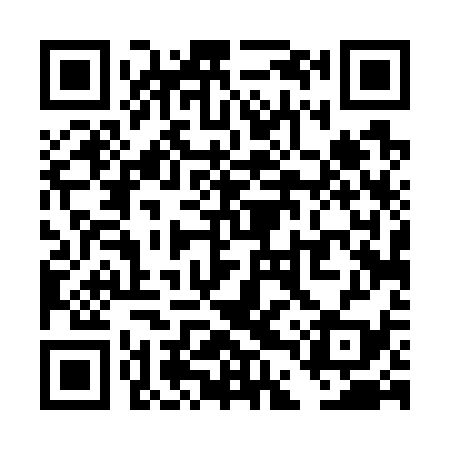 QR code for TDT739