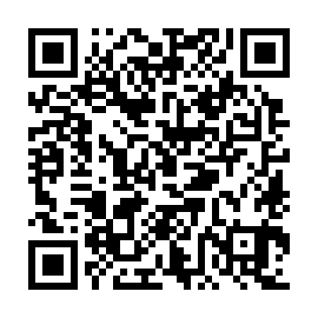 QR code for TFO381