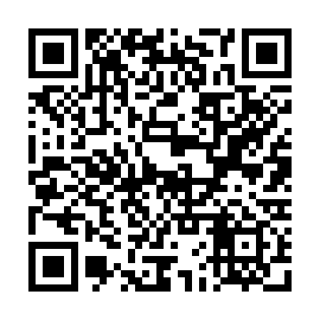QR code for TFV339