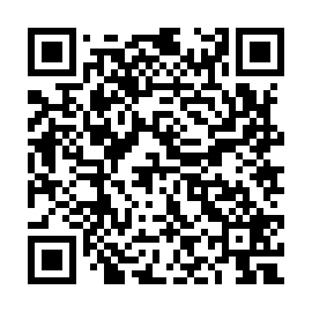 QR code for TIZ929