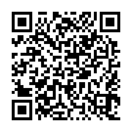 QR code for TON343