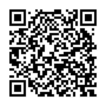 QR code for TOP299