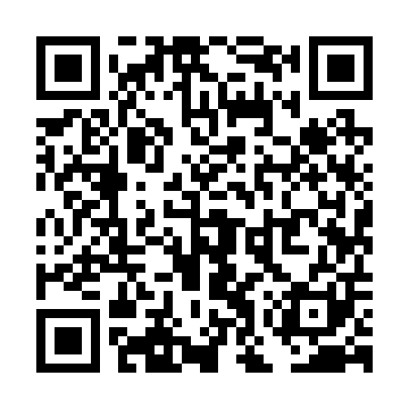 QR code for TOY201