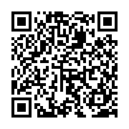 QR code for TOY224