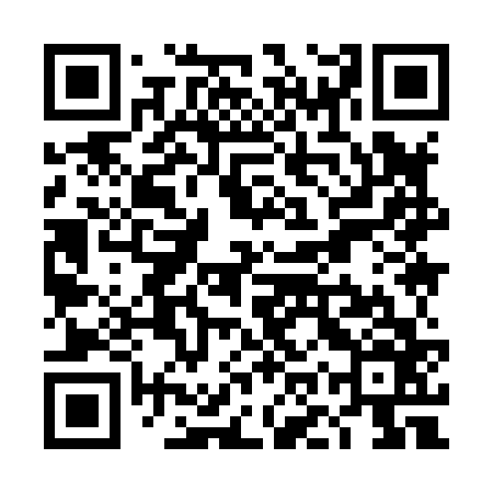 QR code for TOY866