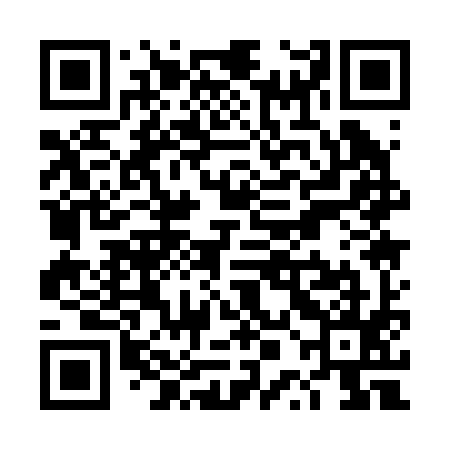 QR code for TPA295