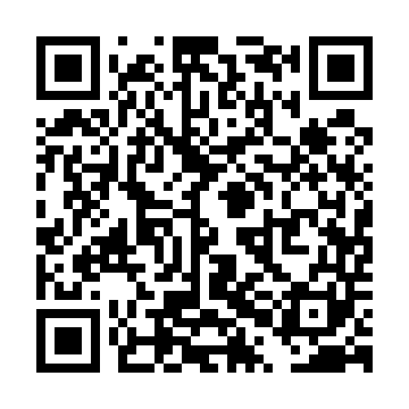 QR code for TPA541