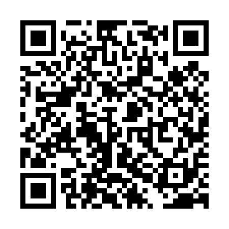QR code for TPF411