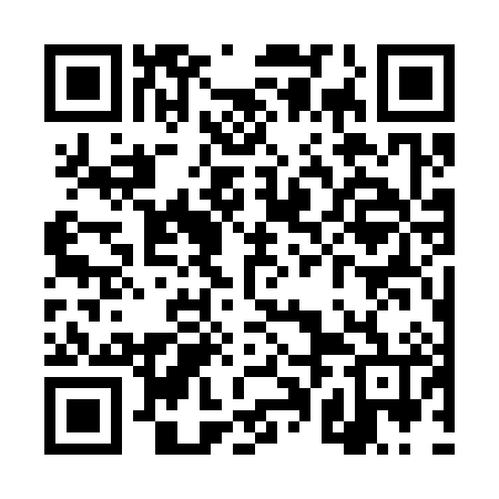 QR code for TPG386