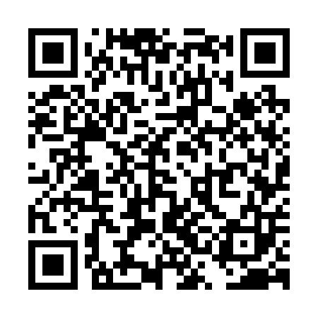 QR code for TSG203